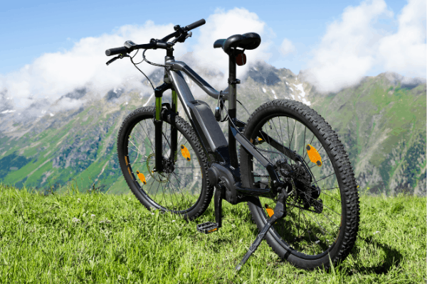 best fat tyre ebike