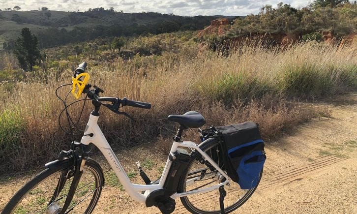 Electric Bike Cutting Out