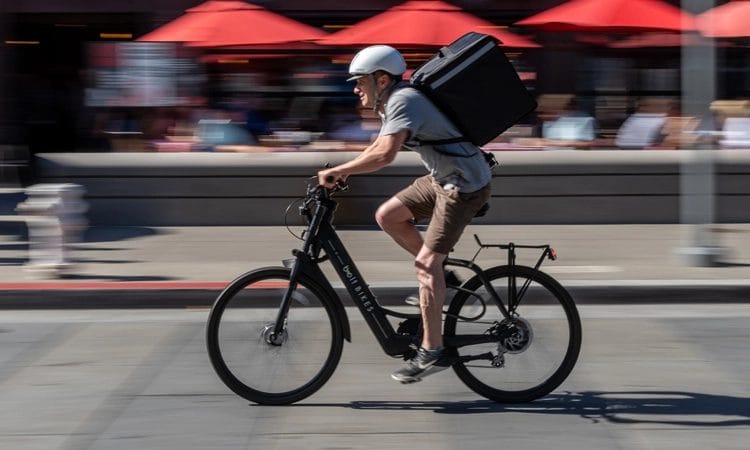which electric bike is best for delivery job